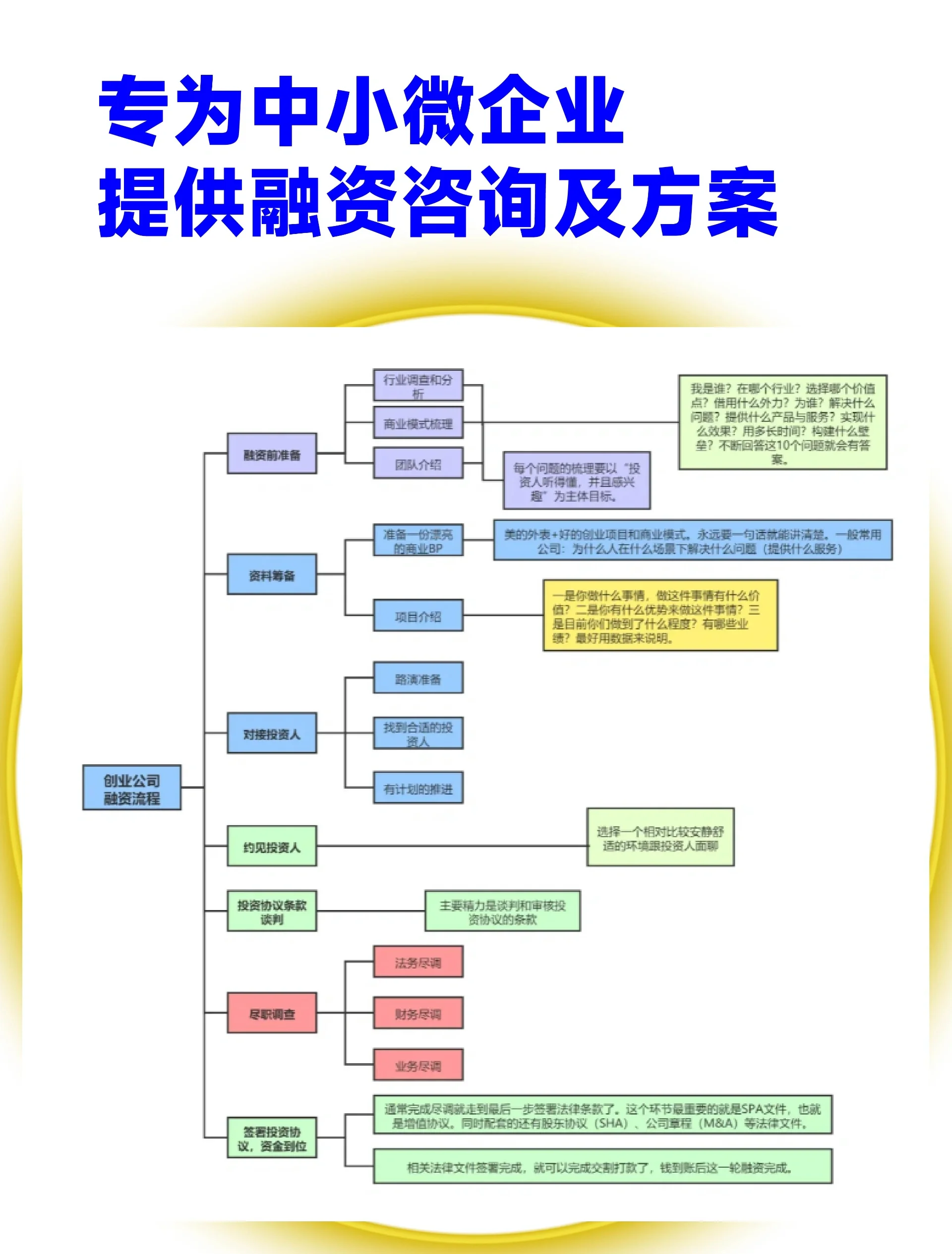 凯里市宠物企业资金管理(宠物管理机构叫什么)