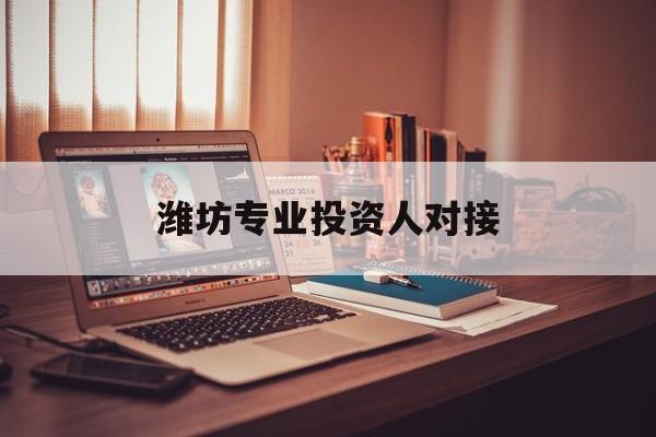 凯里市潍坊专业投资人对接(潍坊专业投资人对接中心)