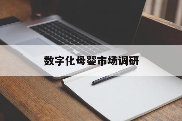 凯里市数字化母婴市场调研(数字化母婴市场调研报告)