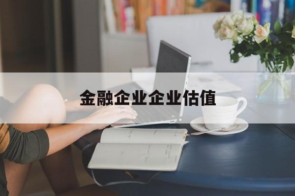 凯里市金融企业企业估值(最新企业估值怎么填)